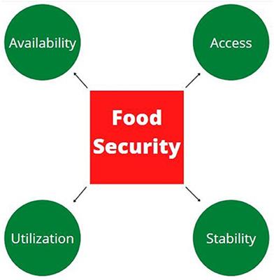 How Cellular Agriculture Systems Can Promote Food Security